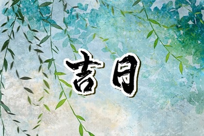 搬家忌冲户主生肖